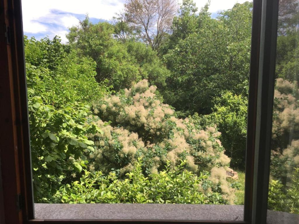 Budapest Garden Hostel 외부 사진